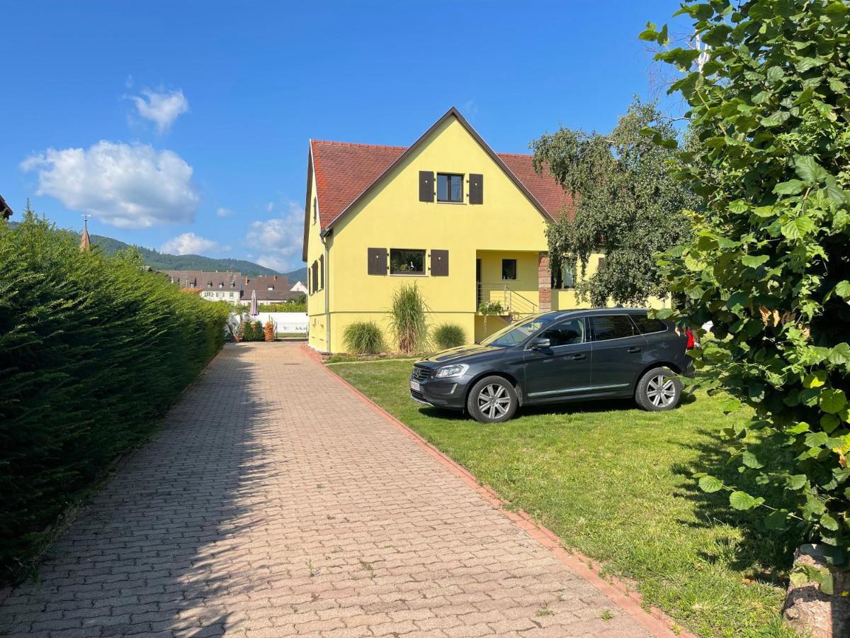 Alsacebnb - Gite 12 Personnes Dans Le Vignoble - Piscine Privee & Spa Ammerschwihr Buitenkant foto