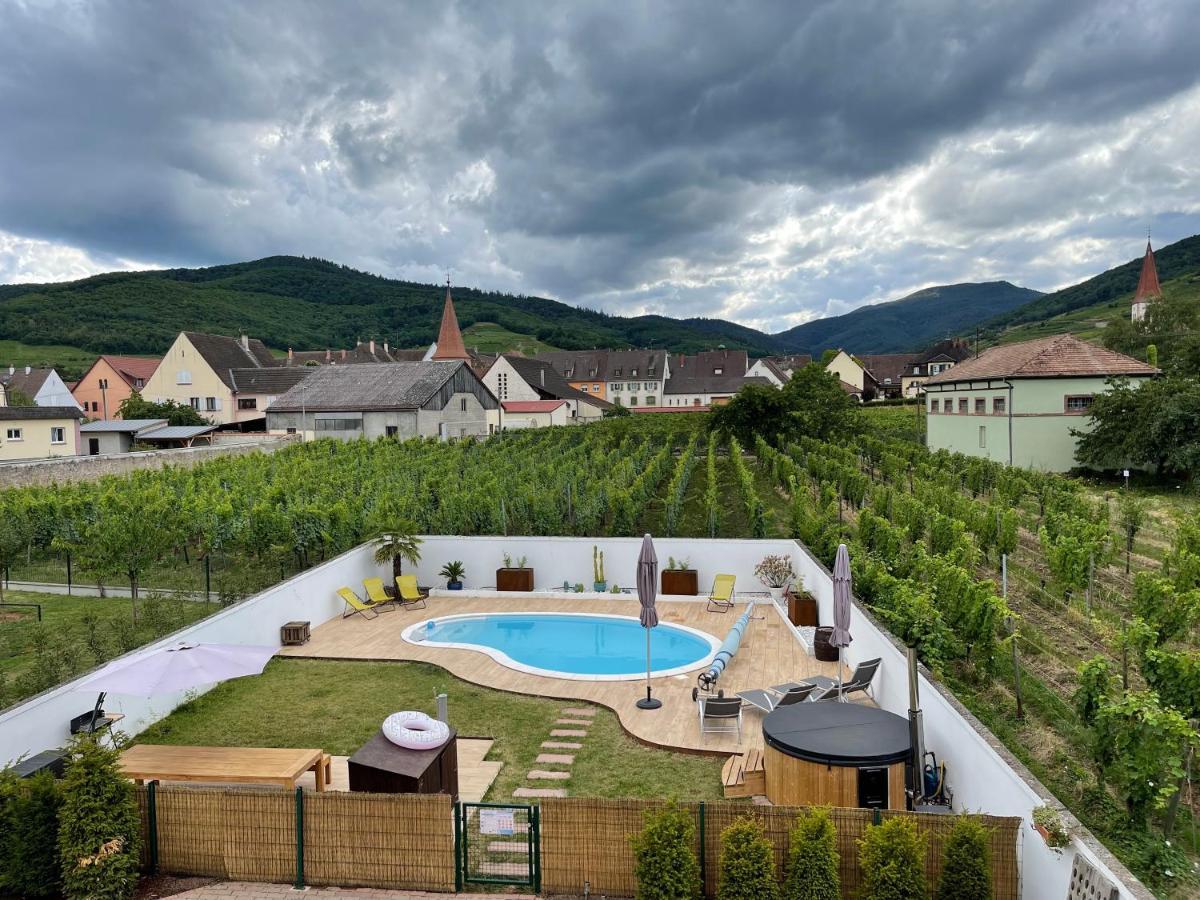 Alsacebnb - Gite 12 Personnes Dans Le Vignoble - Piscine Privee & Spa Ammerschwihr Buitenkant foto