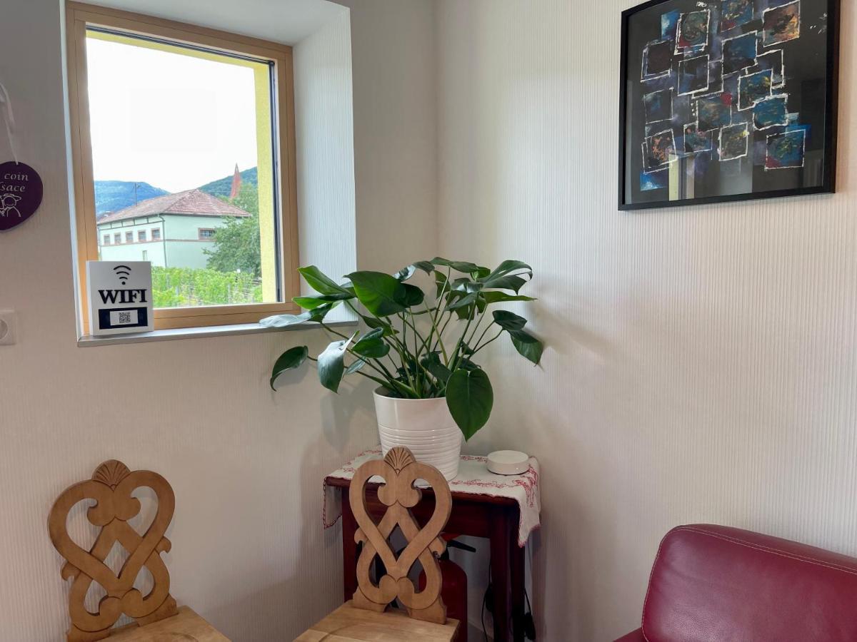 Alsacebnb - Gite 12 Personnes Dans Le Vignoble - Piscine Privee & Spa Ammerschwihr Buitenkant foto