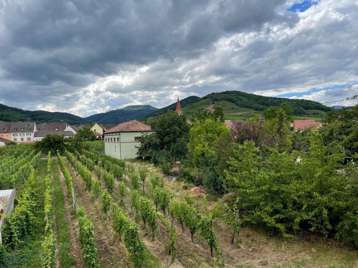 Alsacebnb - Gite 12 Personnes Dans Le Vignoble - Piscine Privee & Spa Ammerschwihr Buitenkant foto