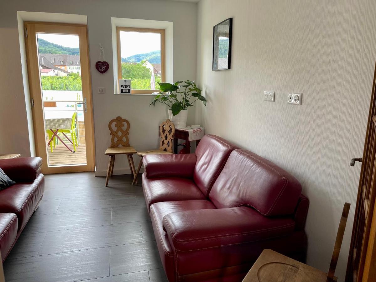 Alsacebnb - Gite 12 Personnes Dans Le Vignoble - Piscine Privee & Spa Ammerschwihr Buitenkant foto