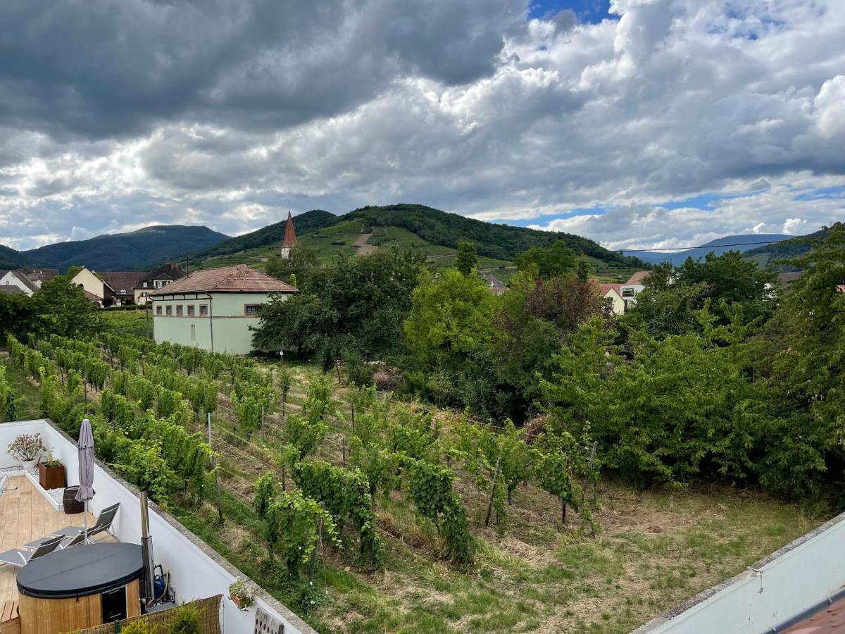 Alsacebnb - Gite 12 Personnes Dans Le Vignoble - Piscine Privee & Spa Ammerschwihr Buitenkant foto